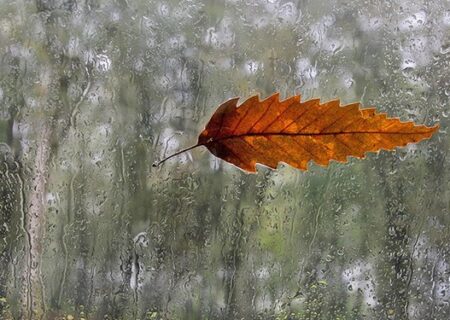 باران پاییزی در راه مازندران