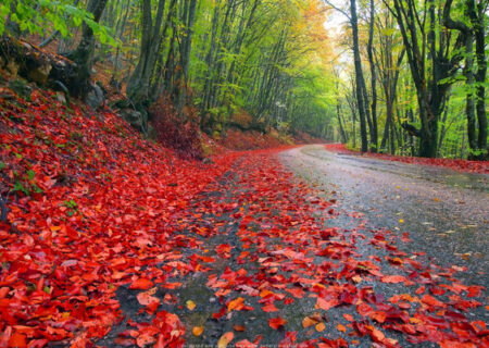 پاییز در گلستان خودنمایی می‌کند/ کاهش ۱۰ درجه‌ای دما