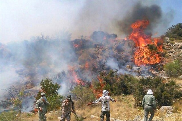 احتمال شعله گرفتن دوباره آتش در پارک ملی سالوک/ هنوز عامل آتش سوزی دستگیر نشده است