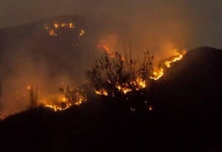 آتش‌سوزی ۱۴ نقطه گلستان طی ۱۰ روز گذشته/ آماده‌باش نیروهای واکنش سریع نیروهای یگان حفاظت