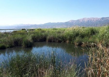 تالاب های لرستان، از نجات منابع طبیعی تا رونق گردشگری