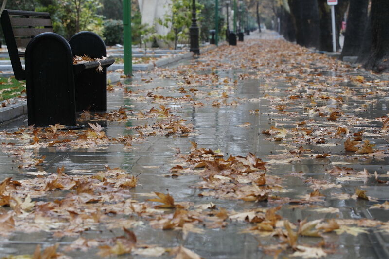 بارندگی امروز در تهران و ۱۴ استان شدت می‌گیرد