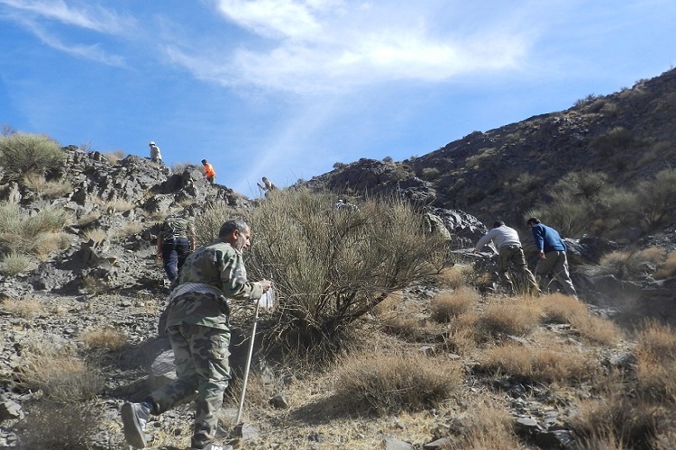 برگزاری همایش کوهپیمایی به‌مناسبت گرامیداشت هفته بسیج در ملایر
