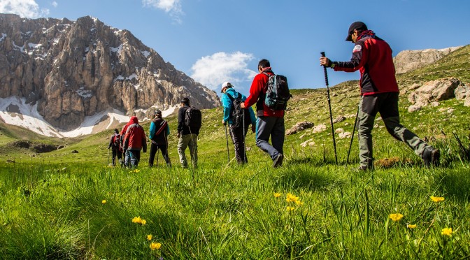 مراحل چهارگانه حرکت در سرازیری