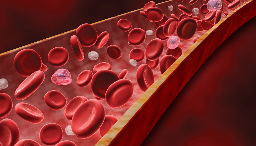 کوهنوردان وافزایش خون سازی گلبول های قرمز