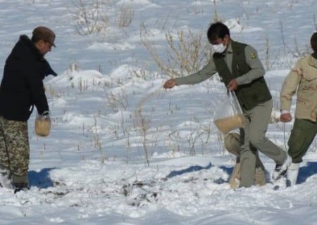 نذر طبیعت برای نجات قرقاول در شهرستان راز و جرگلان خراسان شمالی