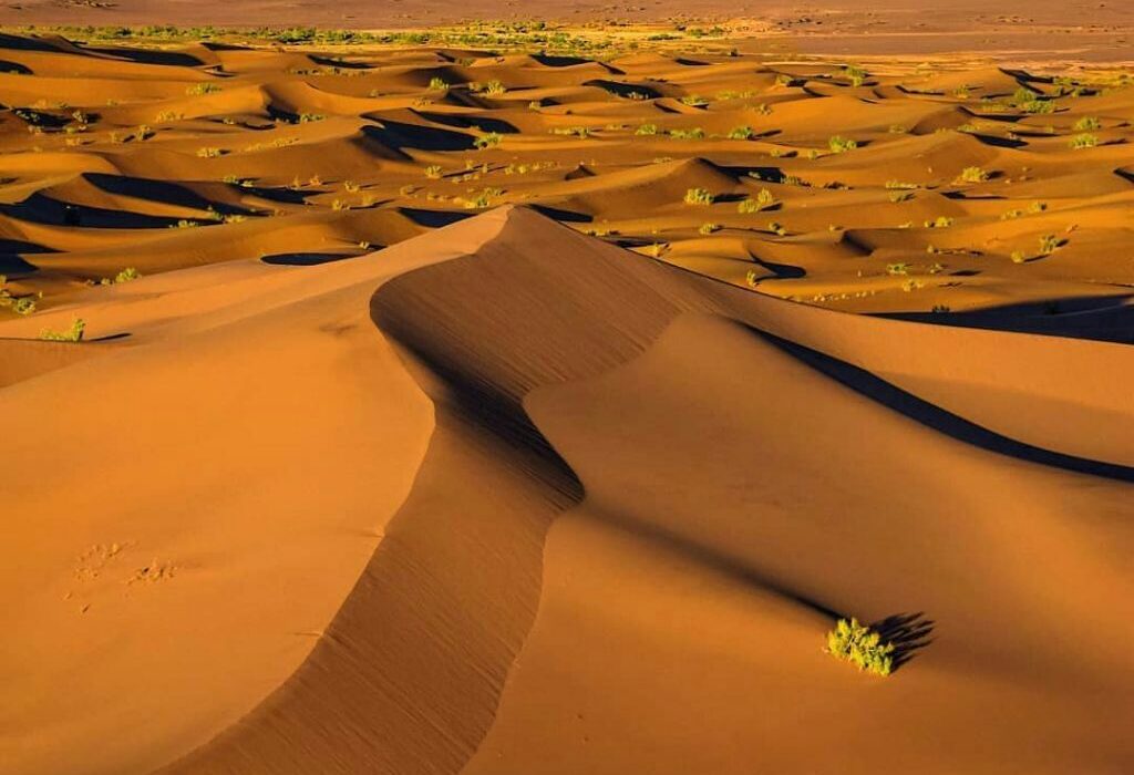  کویر کاراکال، کویری رویایی در قلب ایران