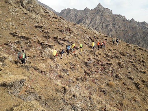 گزارش صعود به قله شاه البرز