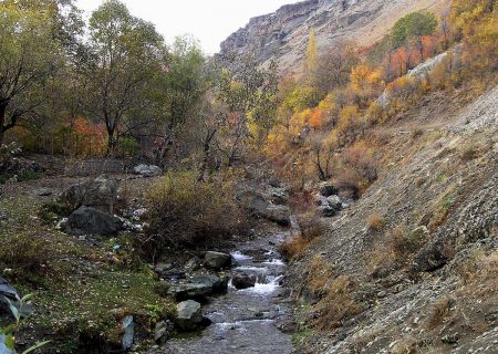 گزارشی از اولین دوره آموزشی جستجوگر محلی کوهستان در  تهران – آهار