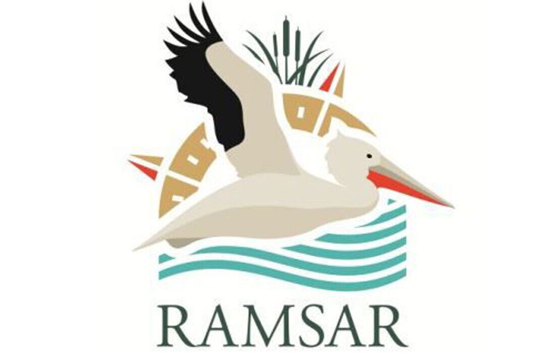 حذف نام «رامسر» از لوگوی ‌پنجاهمین سالگرد «کنوانسیون رامسر»