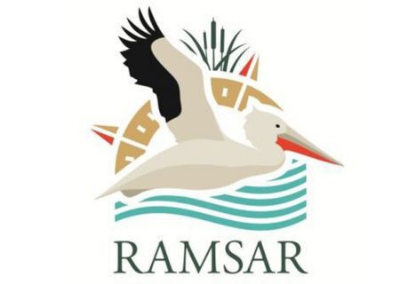 حذف نام «رامسر» از لوگوی ‌پنجاهمین سالگرد «کنوانسیون رامسر»