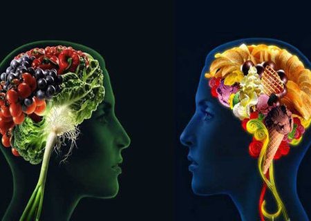 مفیدترین مواد غذایی برای مغز که به بهبود حافظه، تمرکز و خلق و خو کمک می کنند