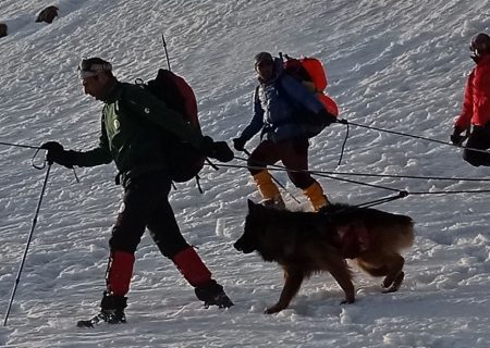 نقش سگ در عملیات کوهستان