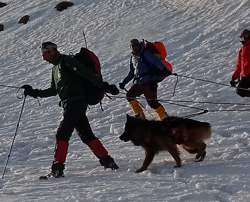 نقش سگ در عملیات کوهستان