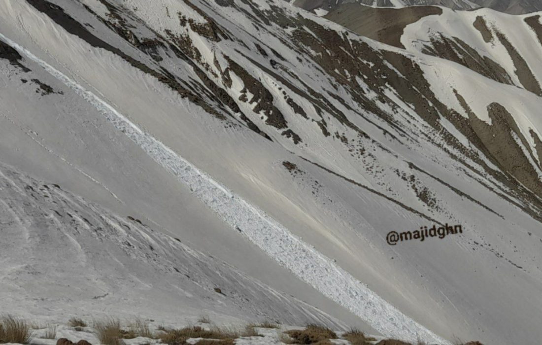 ریزش بهمن پوسته ای