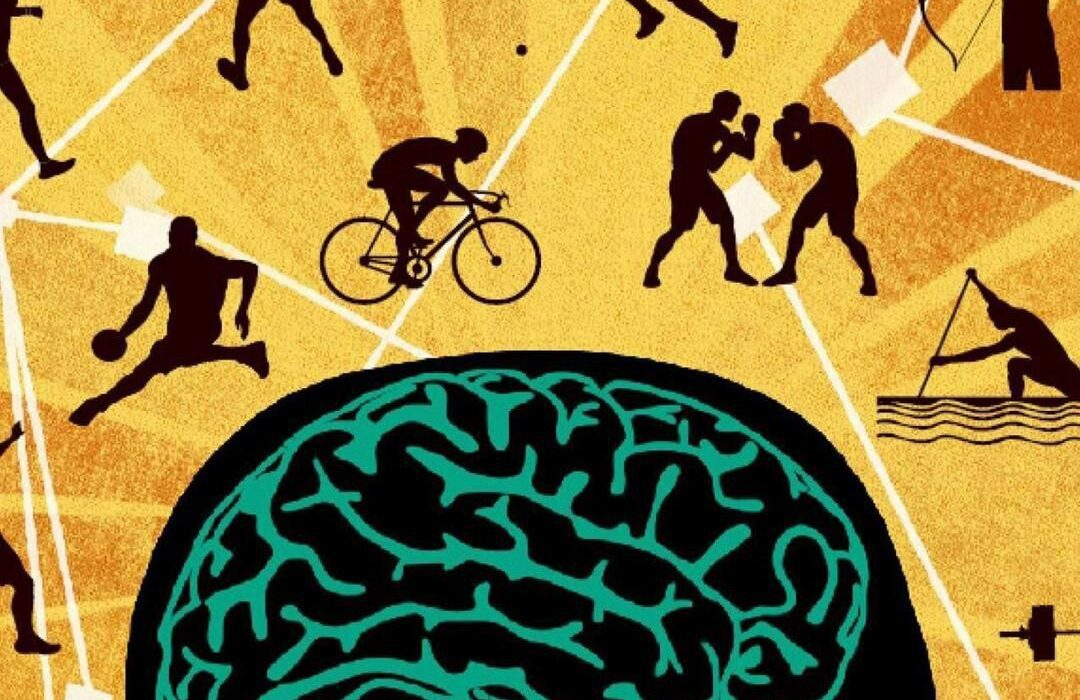 تاثیرات ورزش بر مغز