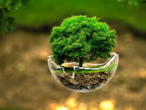شش ویژگی یک کنشگر محیط زیست