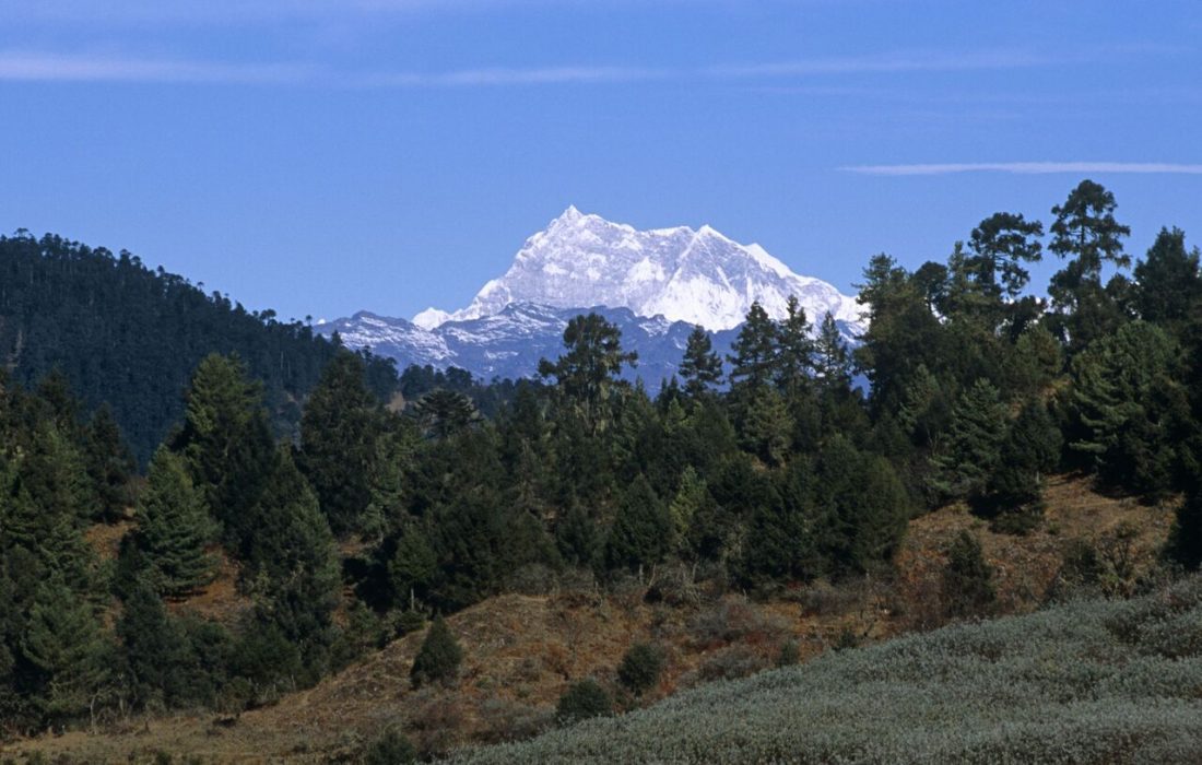 گروه های آزاد بلای جان کوهنوردی البرز شده است