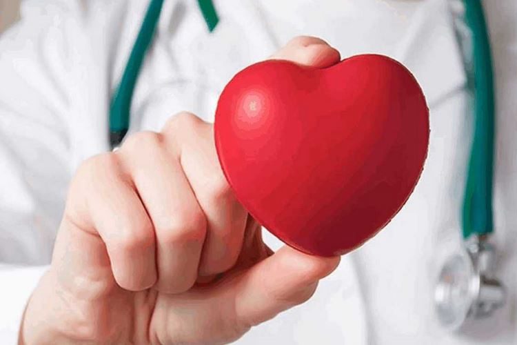 تغذیه درمانی پزشکی
