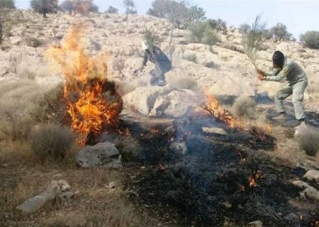 منطقه حفاظت شده «دیل» گچساران پس از ۴ روز همچنان در آتش می سوزد