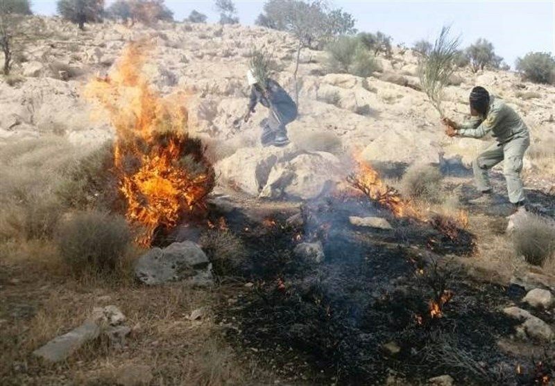 منطقه حفاظت شده «دیل» گچساران پس از ۴ روز همچنان در آتش می سوزد