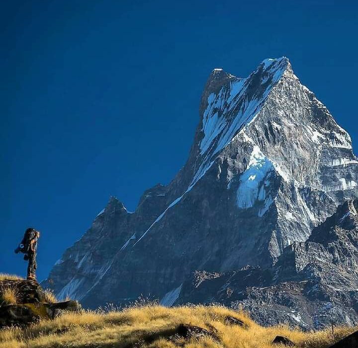 کوه The Fishtail