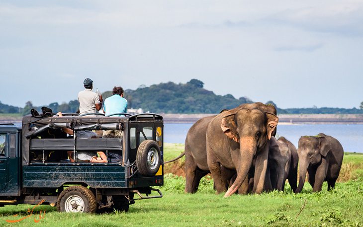 پارک ملی یالا در سریلانکا