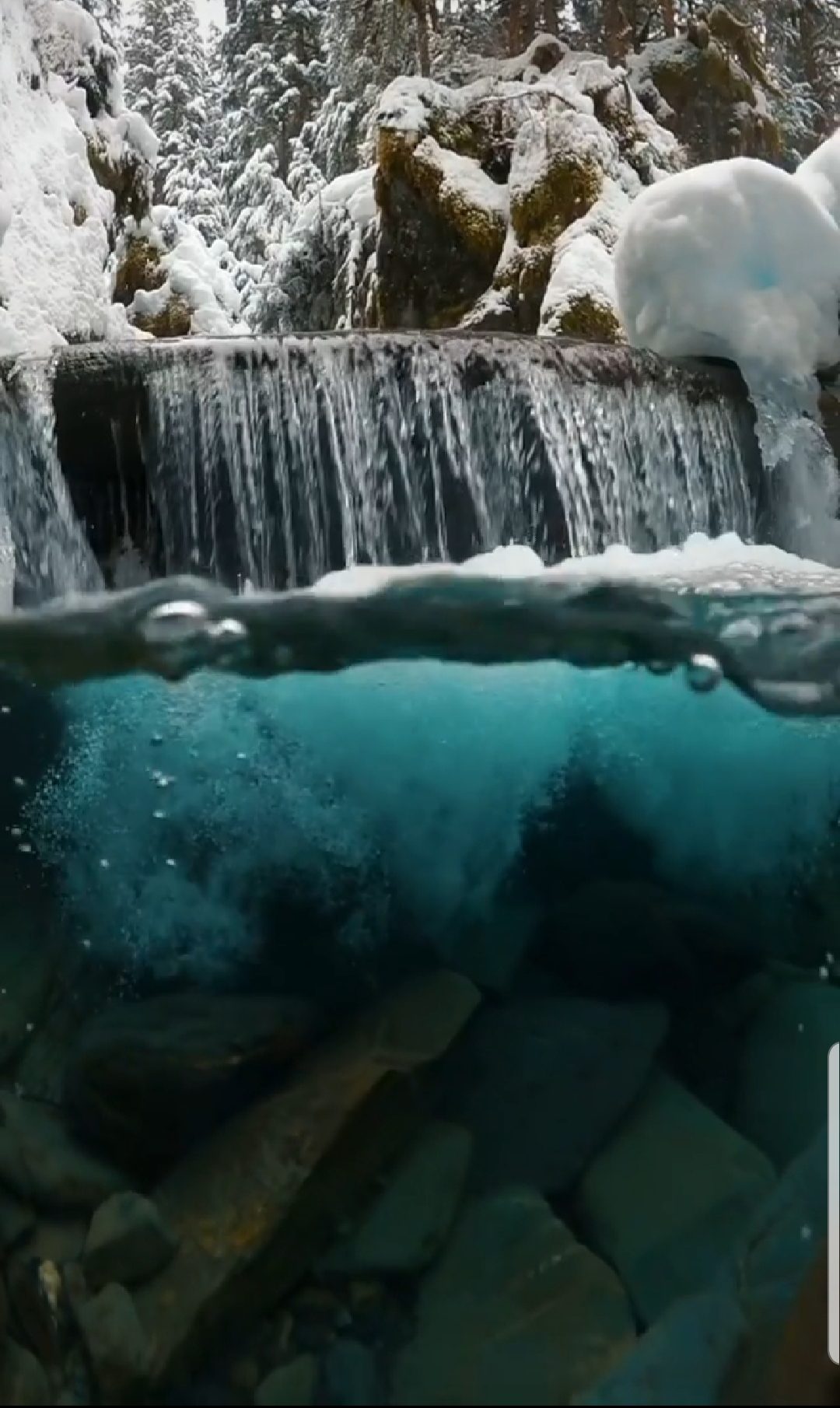 نمایی شگفت انگیز از زیر آب در آلاسکا