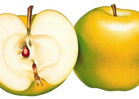 هسته این ۳ میوه سمّی و خطرناکه