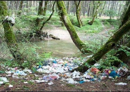رها کردن زباله در طبیعت، بی‌توجهی ما را به محیط زیست می‌رساند
