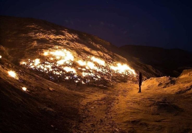 تشکوه عجیب و زیبا