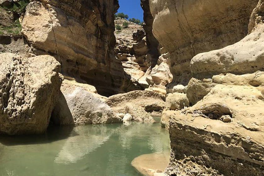 تنگِ رازیانه / ایلام