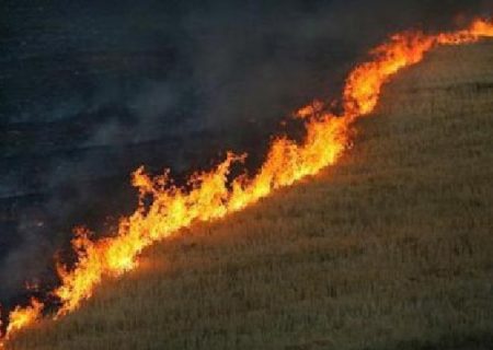 امکانات خوزستان جوابگوی آتش‌سوزی در مراتع و جنگل‌ها نیست