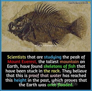 ماهی‌های قله اورست