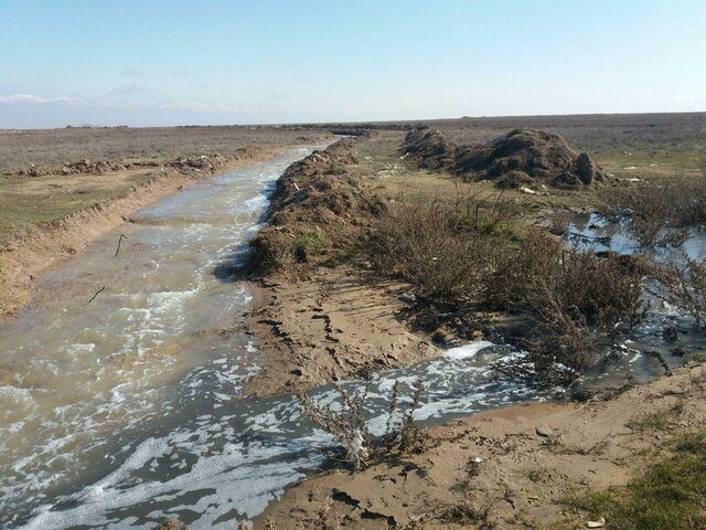 تنها تالاب البرز در مرز خشک شدن