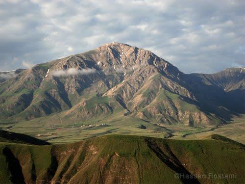 داوری