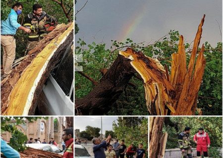 سقوط درخت و حادثه بر اثر صاعقه در قزوین
