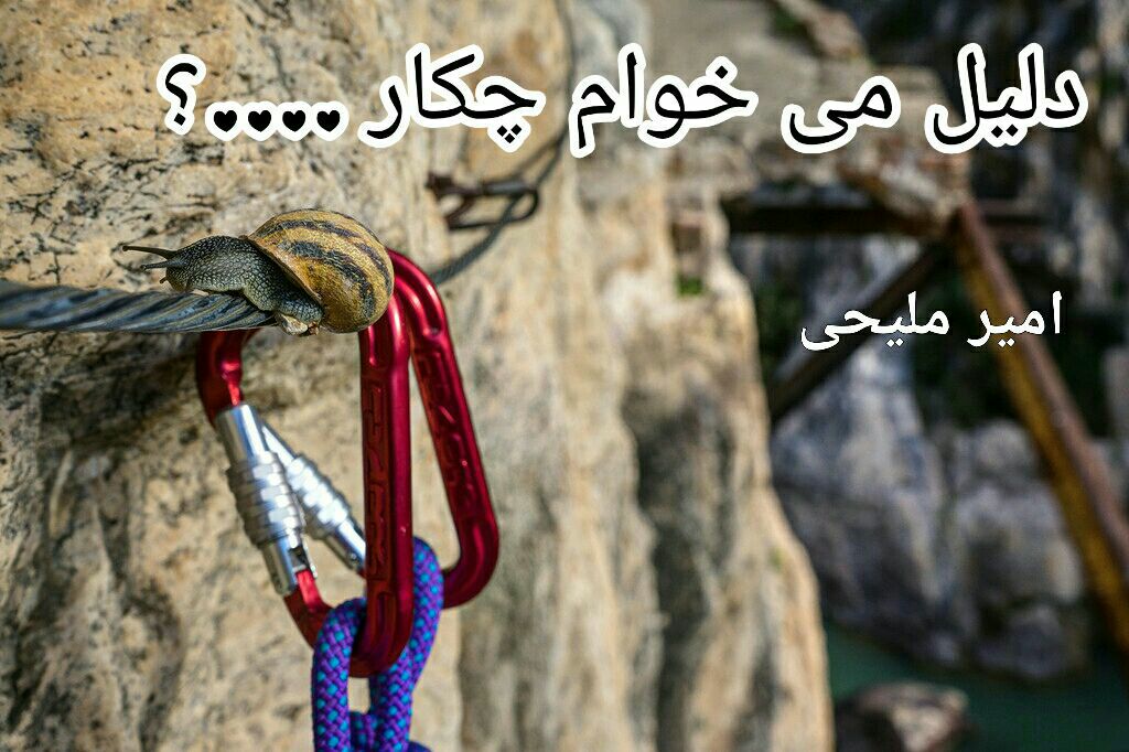 دلیل می خواهم چکار …؟