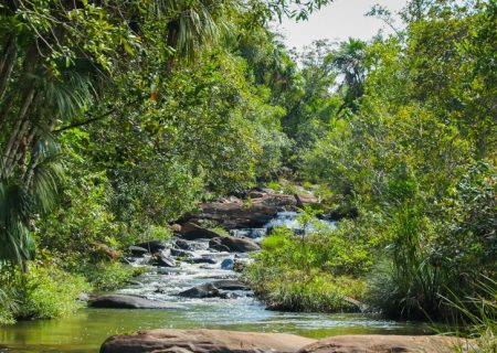آبشار سالتو داس برزیل