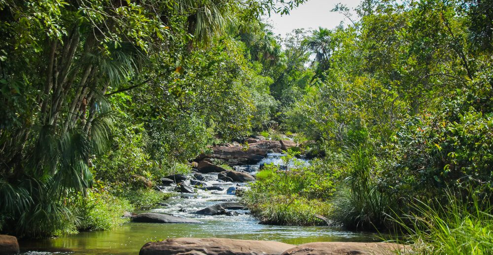 آبشار سالتو داس برزیل