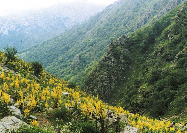 عوامل تخریب محیط کوهستان