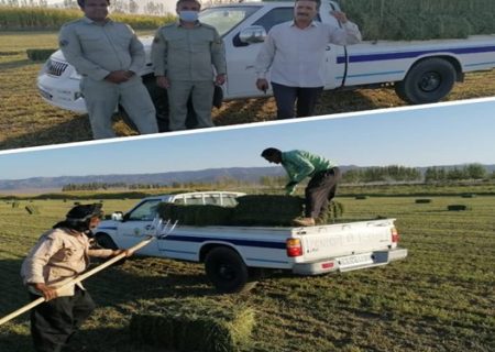 اهدای ۲ تن علوفه خشک توسط همیاران طبیعت کرمانی به حیات وحش