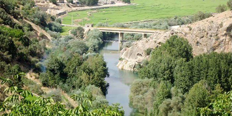 کبگیان در معرض خطر/طبیعت بر باد رفته؛ باورهایی که به مسلخ می‌رود