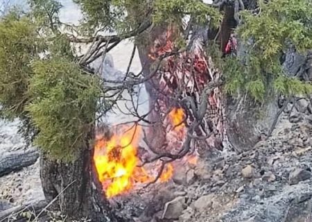 آخرین خبرها از کوه نیر؛ مهار آتش در لوداب و چرام
