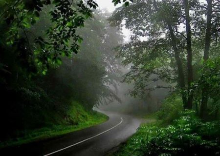 جاده جنگلی عباس آباد به کلاردشت