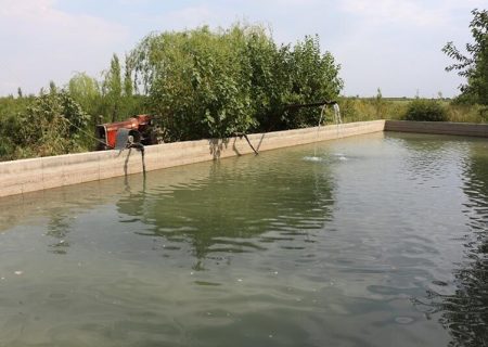 سه هزار قطعه ماهی در شهرستان بیله‌سوار از تلف شدن رهایی یافت