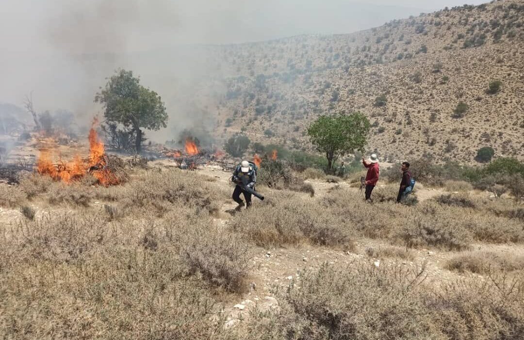 آتش، ارتفاعات فیروزآباد فارس را فرا گرفت