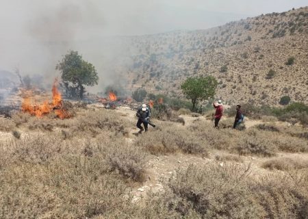 آتش، ارتفاعات فیروزآباد فارس را فرا گرفت
