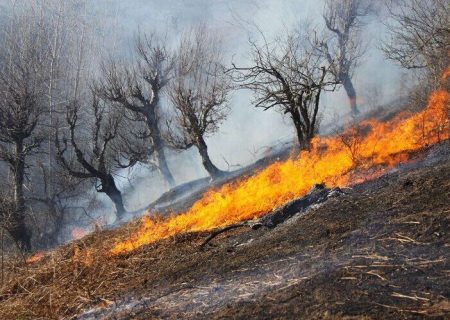 ۷۰ هکتار از مراتع زنجان هفته گذشته طعمه آتش شد