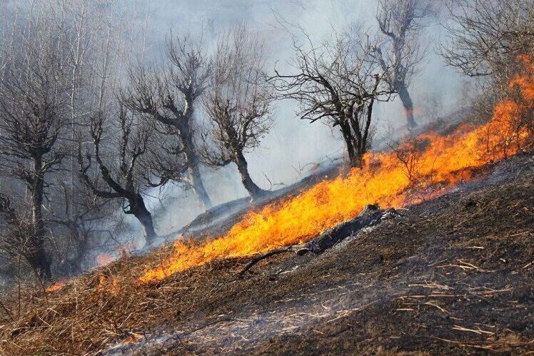 ۷۰ هکتار از مراتع زنجان هفته گذشته طعمه آتش شد